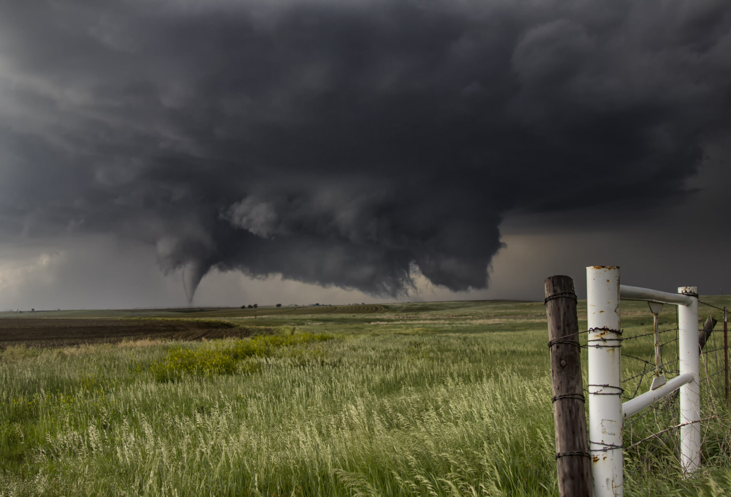 Staying Safe From Scams In The Wake Of Disaster
